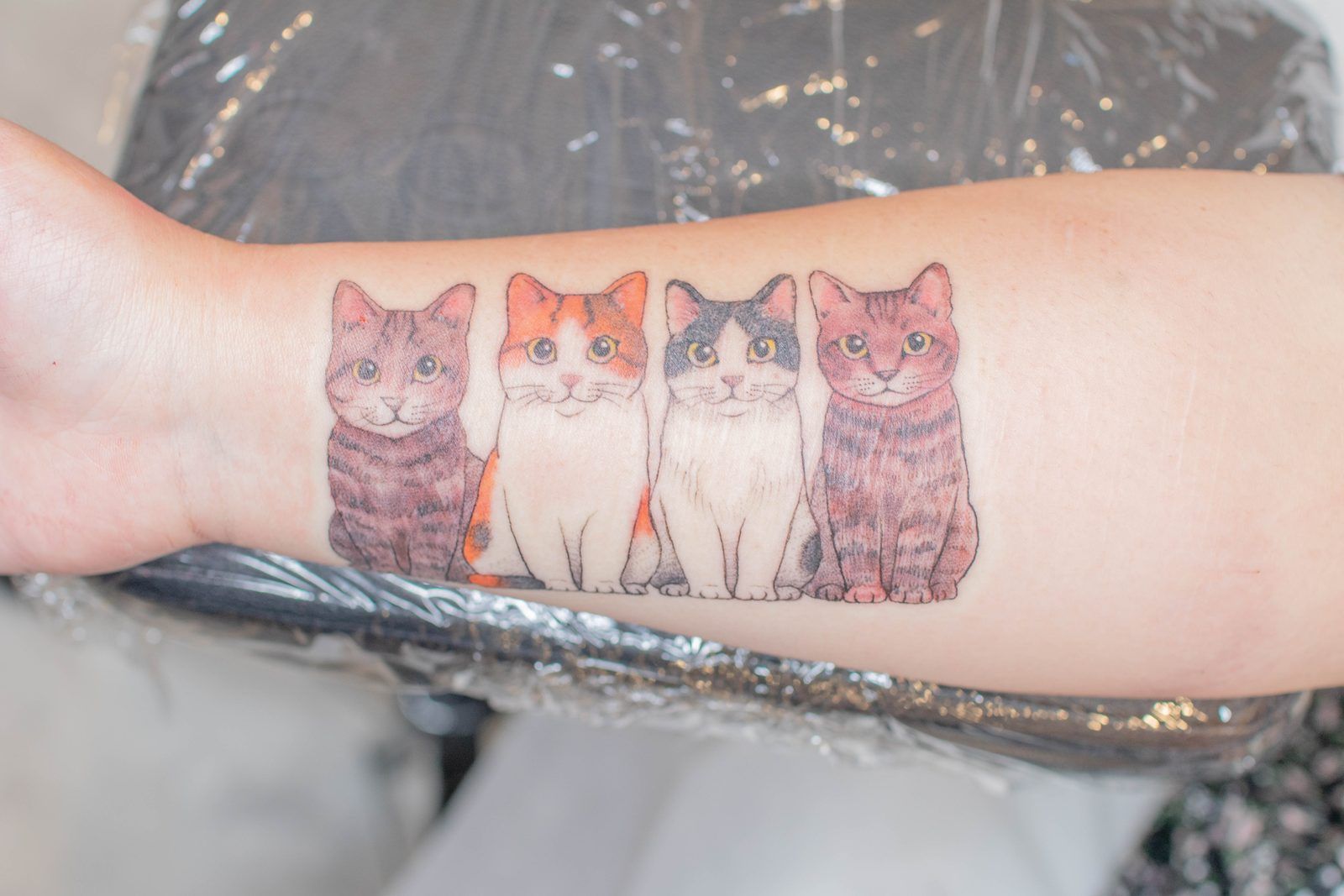 4匹の猫の家族ポートレート（前腕）