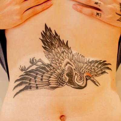 腹部の鶴の和彫り(腹)