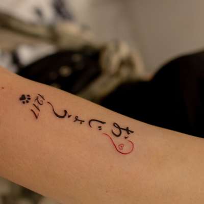 アラビア文字と肉球・日付